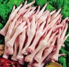 Grade A. Chicken feet and Halal Whole Frozen Chicken